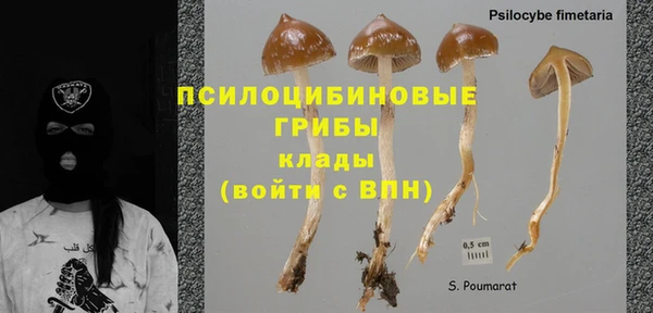 эйфоретик Михайловск