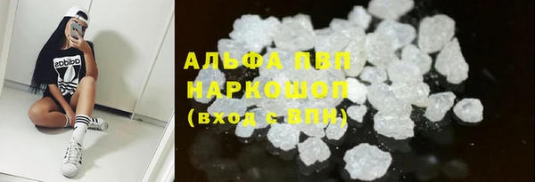 твердый Михайлов