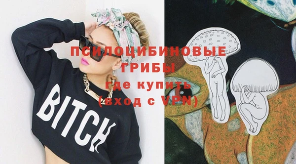 эйфоретик Михайловск