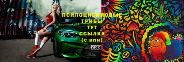 не бодяженный Надым
