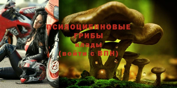 не бодяженный Надым